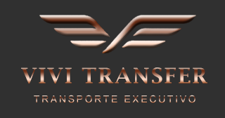 Logo_instagram_Vivi_Transfer4